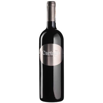 Вино San Roman Bodegas y Vinedos Cartago / Картаго 2017, червоне сухе, 0.75 л