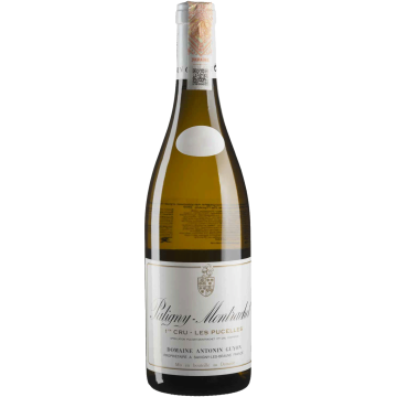 Вино Antonin Guyon Puligny Montrachet Les Pucelles / Пуліні Монраше Ле Пусель 2021, біле сухе, 0.75 л