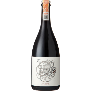 Ігристе Tenuta Di Carleone Vino Rosso Frizzante / Віно Россо Фрізанте, червоне, 0.75 л