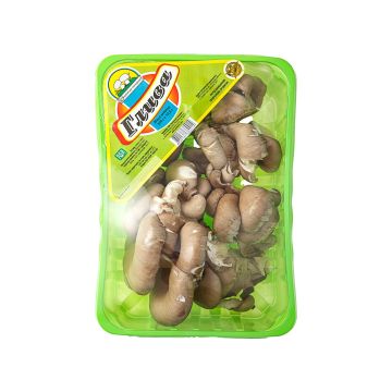 Гриби гливи 500г (Україна)
