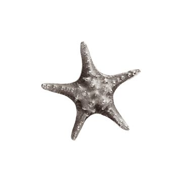 Декор Морська зірка срібного кольору 15x15x5см, Werner Voss