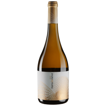 Вино Vina Nora Nora Da Neve / Нора де Неве 2022, біле сухе, 0.75 л