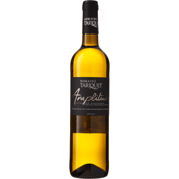 Вино Domaine Tariquet Amplitude / Амплітюд, біле сухе, 0.75 л