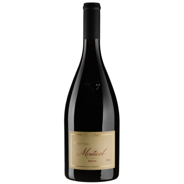 Вино Cantina Terlano Pinot Noir Monticol / Піно Нуар Монтіколь 2022, червоне сухе, 0.75 л