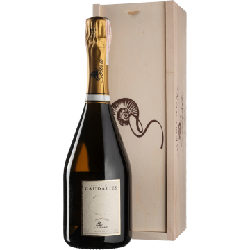 Шампанське De Sousa Cuvee des Caudalies Millesime, gift box / Кюве де Каудаліс Мілзім, подарункова коробка 2013, біле, 0.75 л