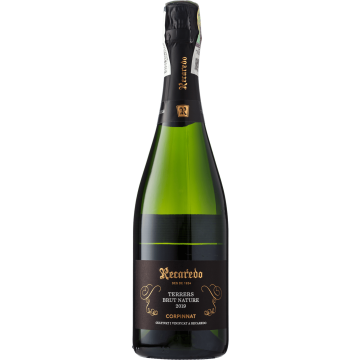 Ігристе Recaredo Terrers Brut Nature / Террерс Брют Натюр 2019, біле, 0.75 л