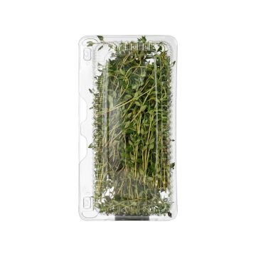 Чебрець (Тим'ян) 50г (Україна)
