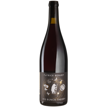 Вино Patrice Beguet Go Together Red / Гоу Тугезе Ред 2022, червоне сухе, 0.75 л