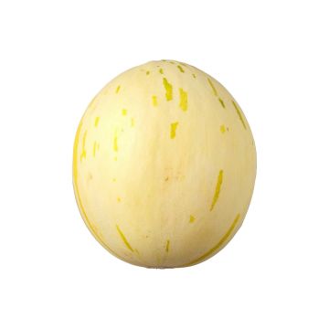 Диня Діно