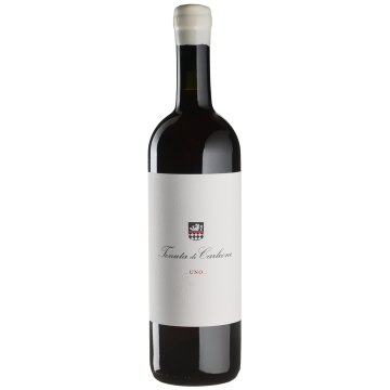 Вино Tenuta Di Carleone Uno / Уно 2019, червоне сухе, 0.75 л